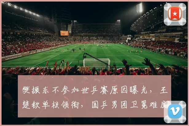 樊振东不参加世乒赛原因曝光,王楚钦单核领衔,国乒男团卫冕难度大!