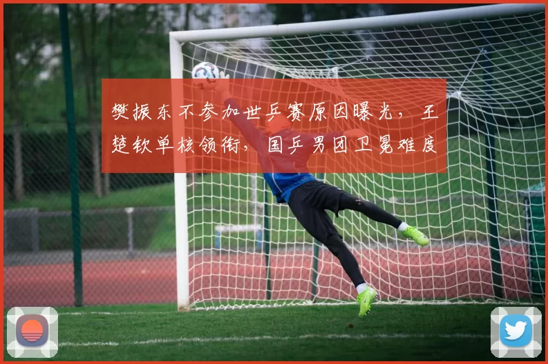 樊振东不参加世乒赛原因曝光，王楚钦单核领衔，国乒男团卫冕难度大！