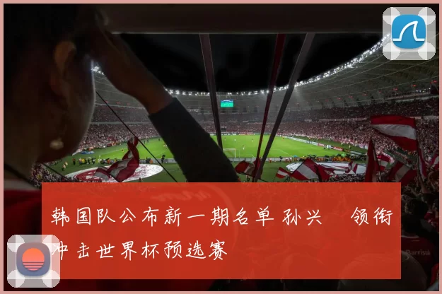 韩国队公布新一期名单 孙兴慜领衔冲击世界杯预选赛