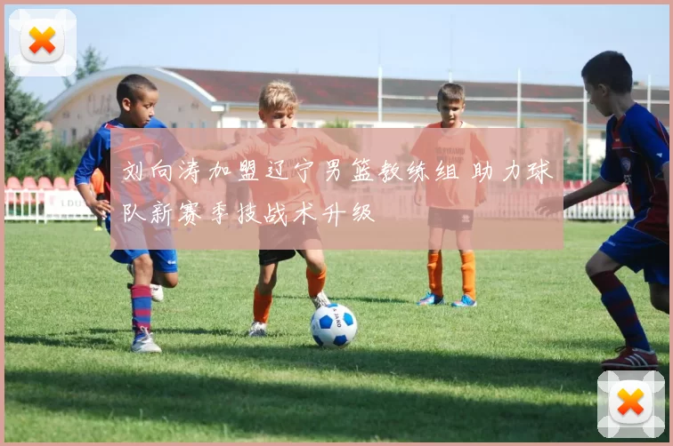 刘向涛加盟辽宁男篮教练组 助力球队新赛季技战术升级