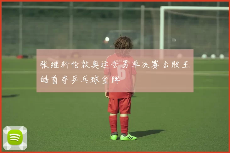 张继科伦敦奥运会男单决赛击败王皓首夺乒乓球金牌